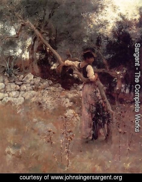 Sargent - Capri Girl (or Among the Olive Trees, Capri)