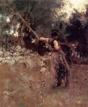 Sargent - Capri Girl (or Among the Olive Trees, Capri)