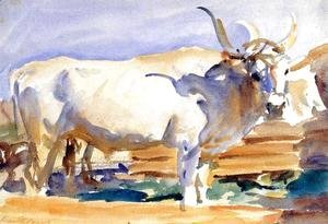 Sargent - White Ox at Siena