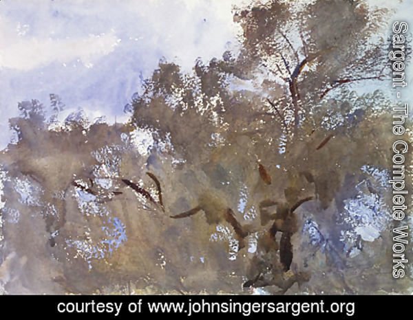 Sargent - Treetops against Sky