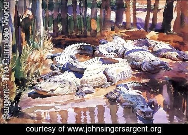 Sargent - Muddy Aligators
