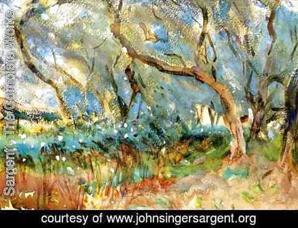 Sargent - Landscape 1909 Corfu
