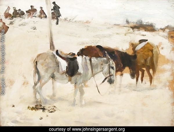 Donkeys in a Desert